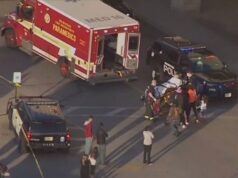 Active shooter reported at Mayfair Mall, 8 injured and brought to the hospital Active shooter reported at Mayfair mall, 8 injured and brought to the hospital