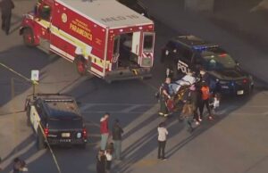 Active shooter reported at Mayfair Mall, 8 injured and brought to the hospital Active shooter reported at Mayfair mall, 8 injured and brought to the hospital